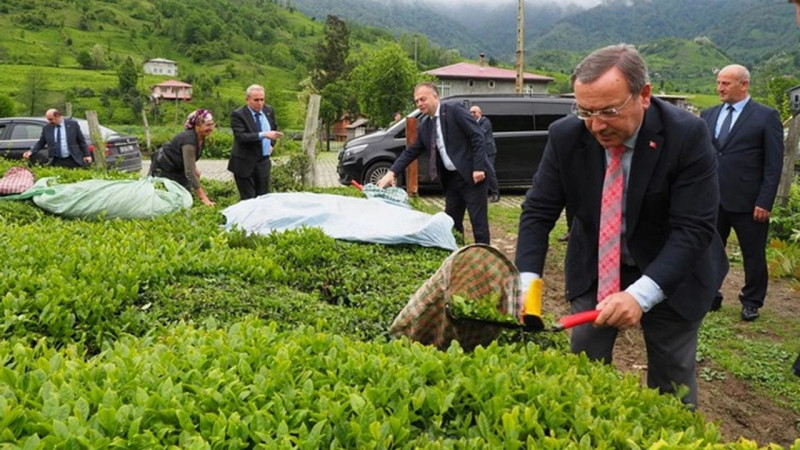 ÇAYKUR KAMPANYAYI YARIN AÇIYOR